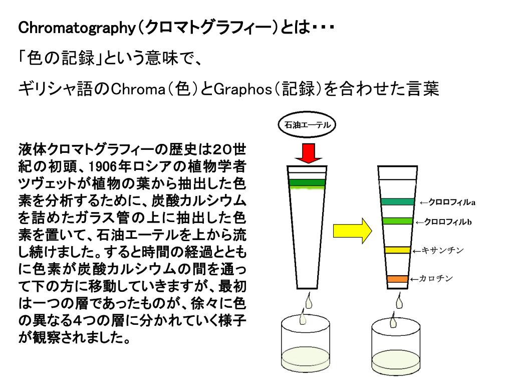 Ppt くろまとぐらふぃー Powerpoint Presentation Free Download Id