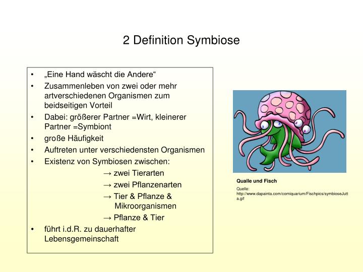 PPT - Symbiosen PowerPoint Presentation - ID:4685542