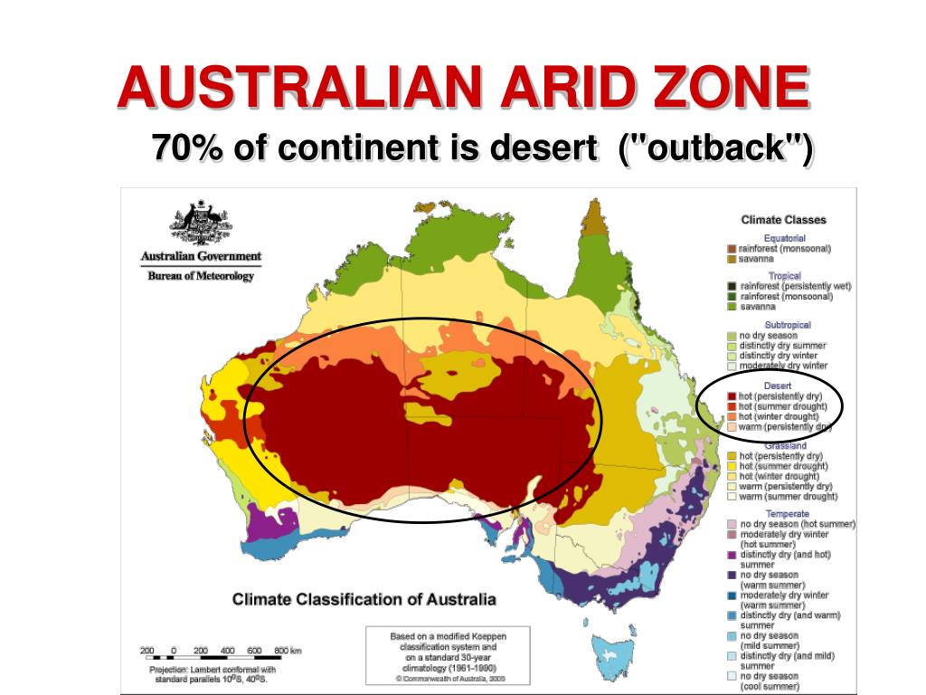 PPT - THE ARID ZONE AND XERIC SHRUBLANDS PowerPoint Presentation, free 