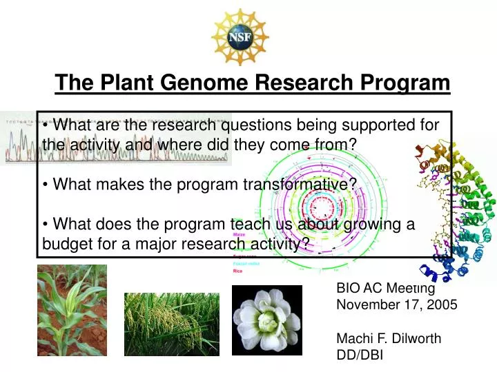 research on plant genomics