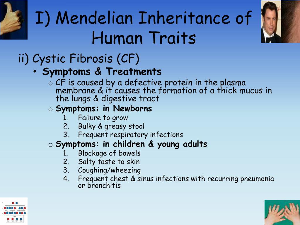 Human mendelian traits worksheet answers
