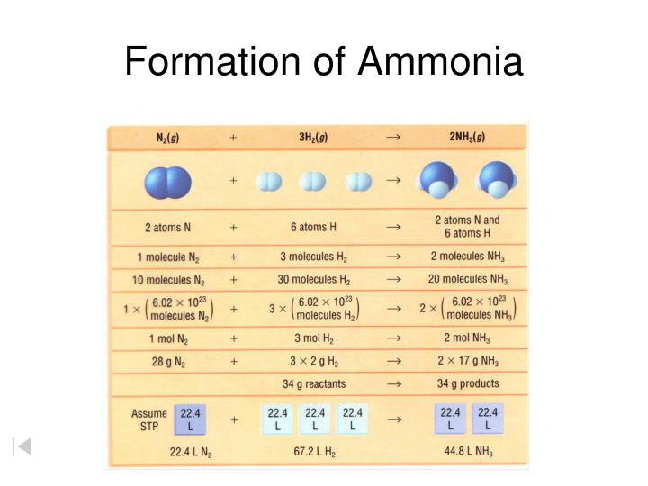 PPT - Proportional Relationships PowerPoint Presentation - ID:4693496