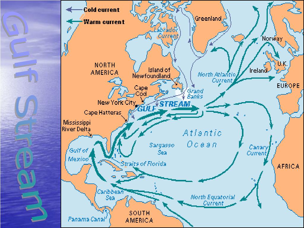 Какие течения атлантического океана. Течение Гольфстрим на карте. Гольфстрим на карте Атлантического океана. Норвегия Гольфстрим теплое течение.