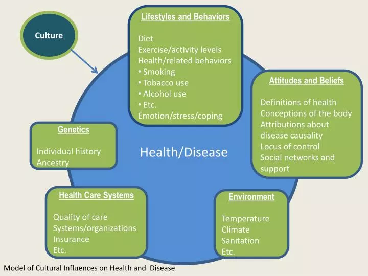 presentation about health and illness