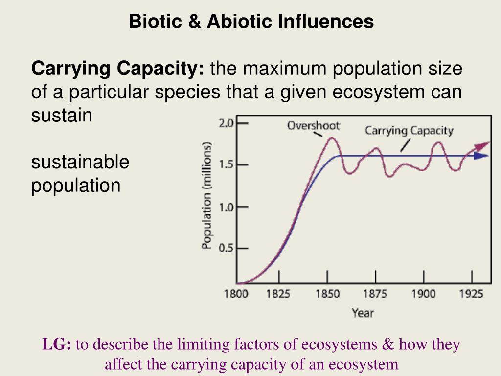 how is carrying capacity of an ecosystem affected