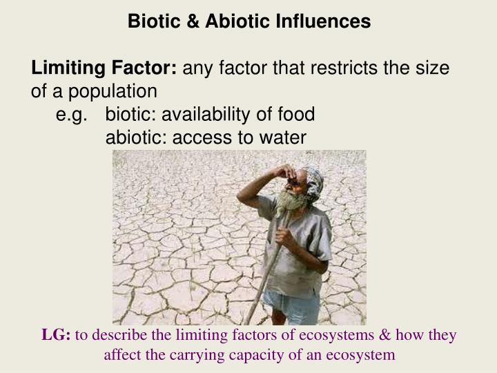 biotic and abiotic influences on the biotic and abiotic influences on the