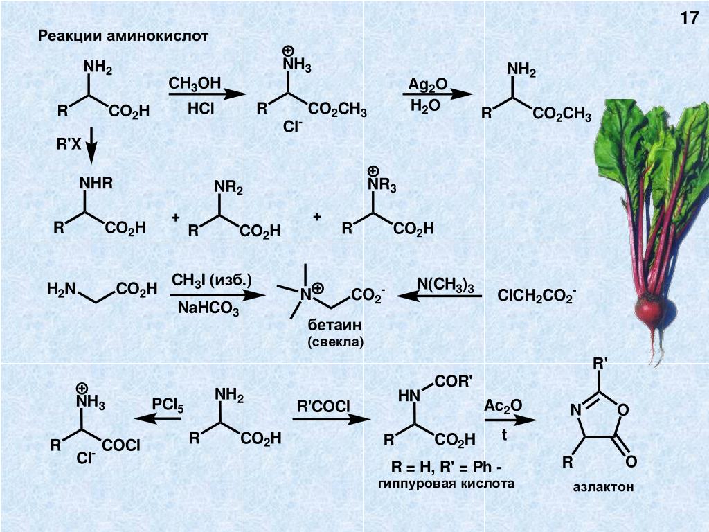 Аминокислоты сдать. Реакции аминокислот. Гидроксикислоты реакции получения. Аминокислота аминокислота реакция. Реакция Аминов с аминокислотами.