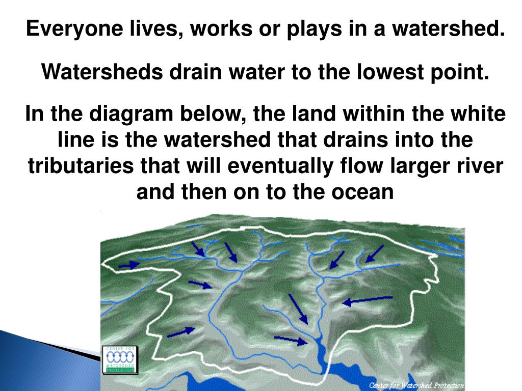 Ppt 22watersheds And River Basins Powerpoint Presentation Free