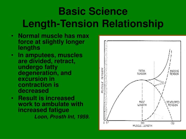 length and tension relationship Get expert answers to your questions in muscle damage, muscle, force and muscle fatigue and more on researchgate, the professional network for scientists. length and tension relationship Get expert answers to your questions in muscle damage, muscle, force and muscle fatigue and more on researchgate, the professional network for scientists.