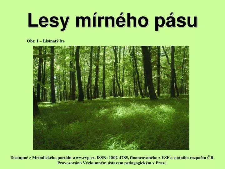 PPT - Lesy mírného pásu PowerPoint Presentation, free download - ID:4700628
