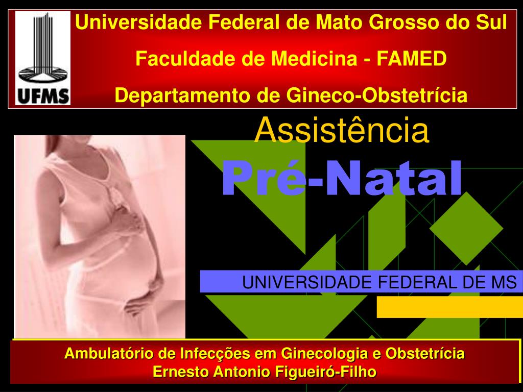 PPT - Assistência Pré-Natal PowerPoint Presentation, free download -  ID:4701377