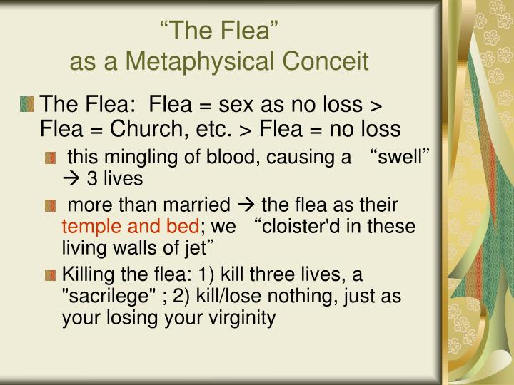 metaphysical conceit in the flea metaphysical conceit in the flea