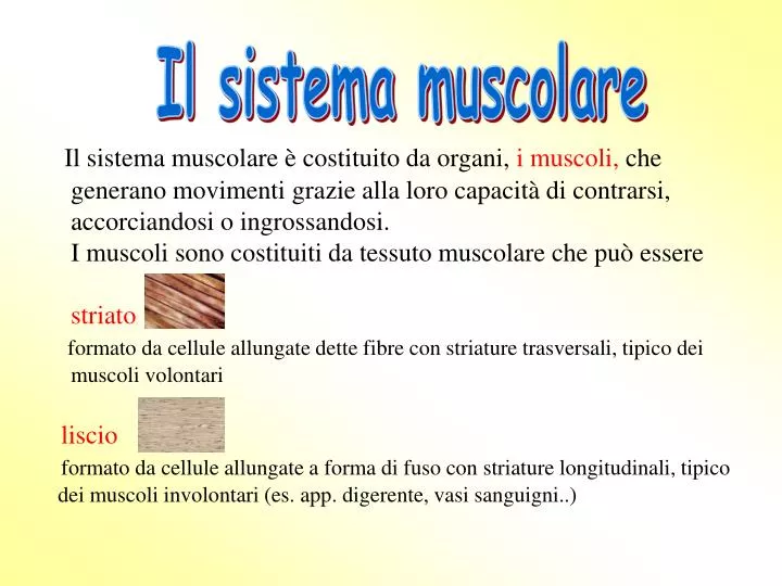 apparato locomotore ppt Ppt apparato locomotore powerpoint presentation id:4754109.