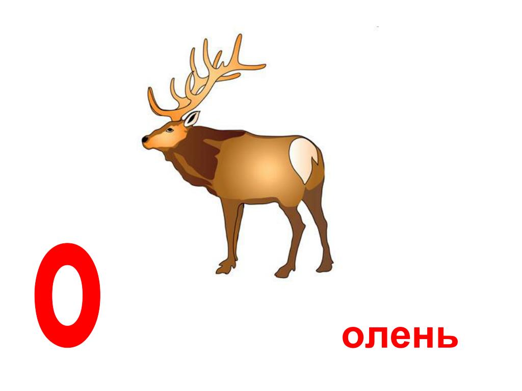 Звуковая схема слова олень