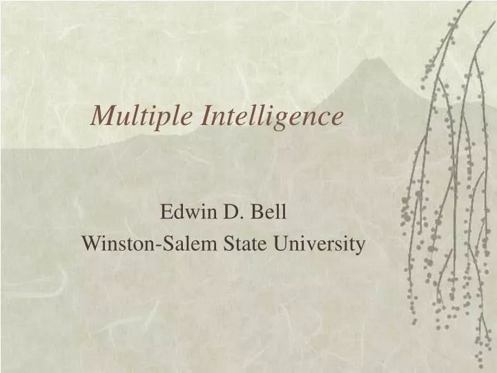 multiple intelligence n.