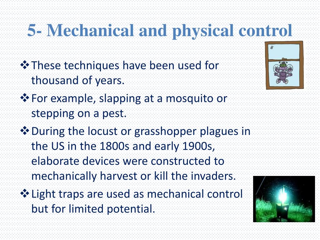 PPT - Insect pest management PowerPoint Presentation, free download -  ID:4706375