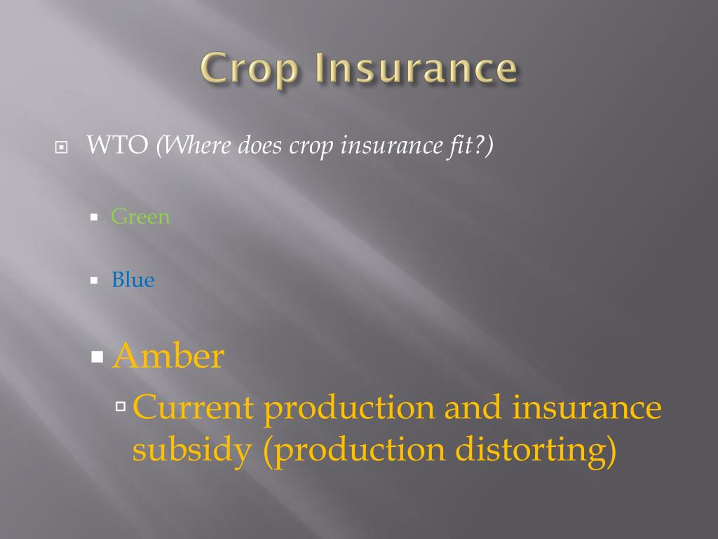 PPT - Agricultural Policy PowerPoint Presentation - ID:4706433