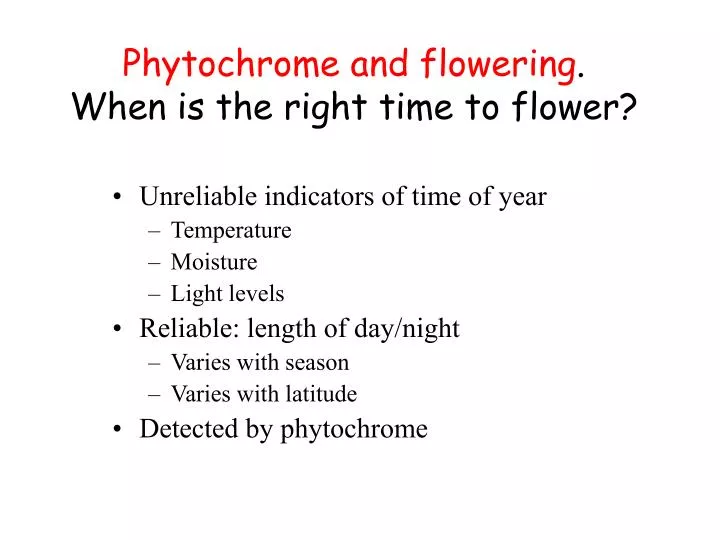 phytochrome full notes ppt