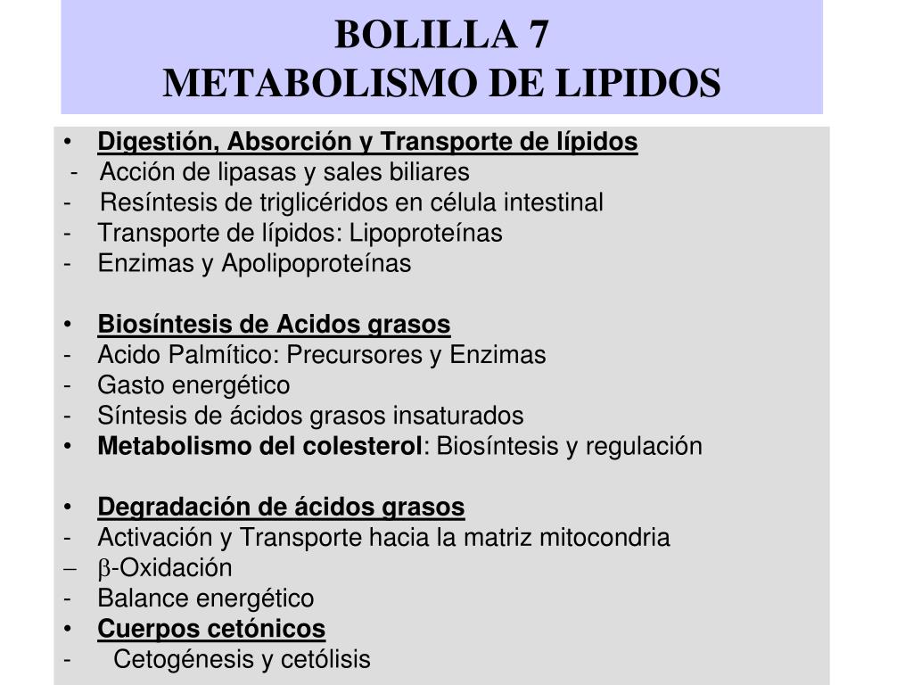 Calcula metabolismo basal