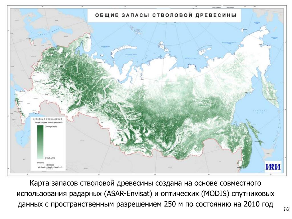 Зоны лесов россии на карте