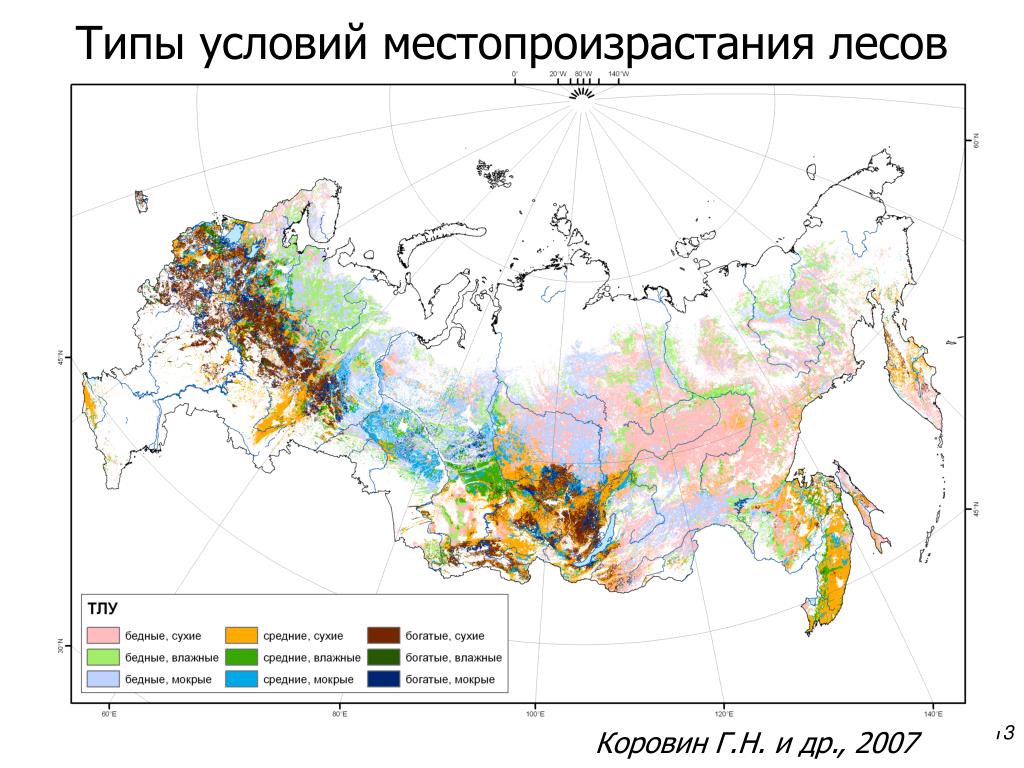 Типы лесов россии схема