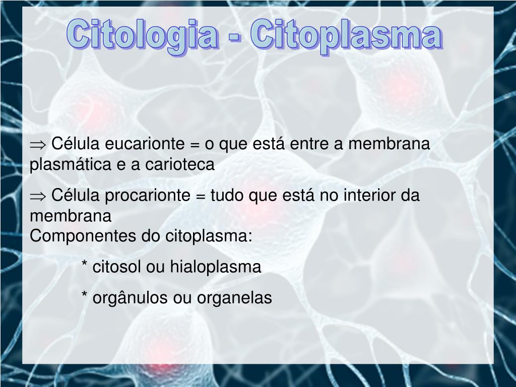 Citoplasma: definição, nos eucariontes, funções - Brasil Escola