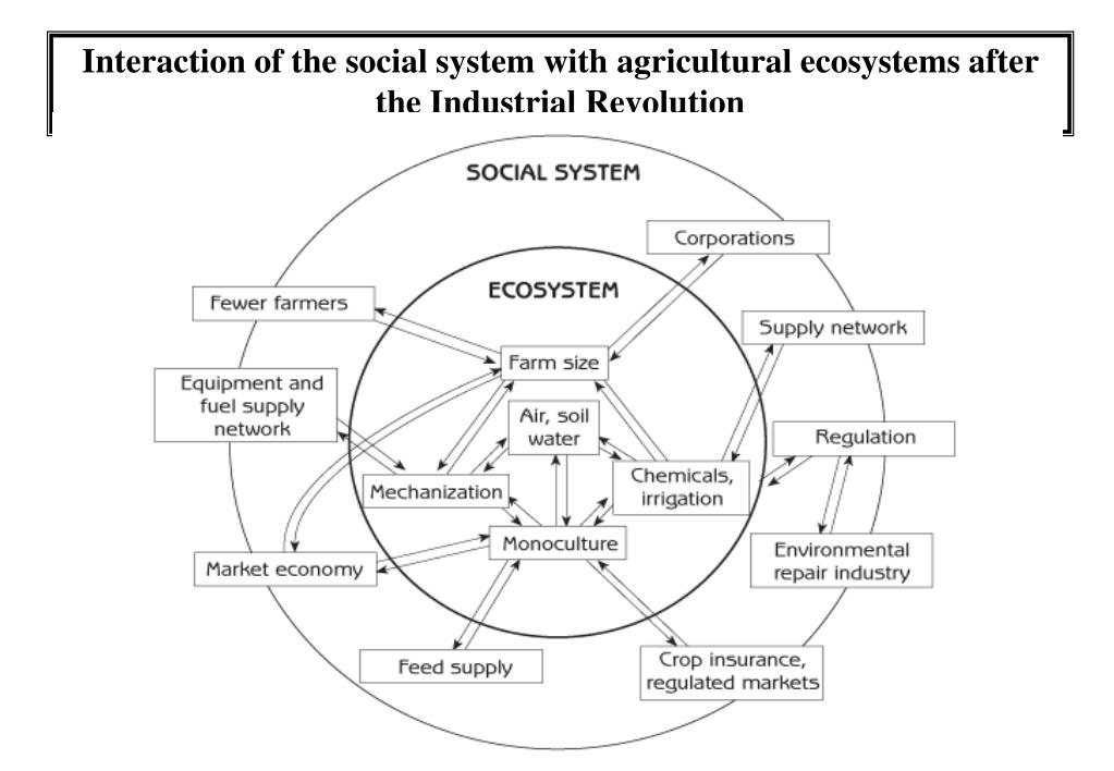 System society. Soc система. Societal System. Environmental Systems and Societies. Social System.
