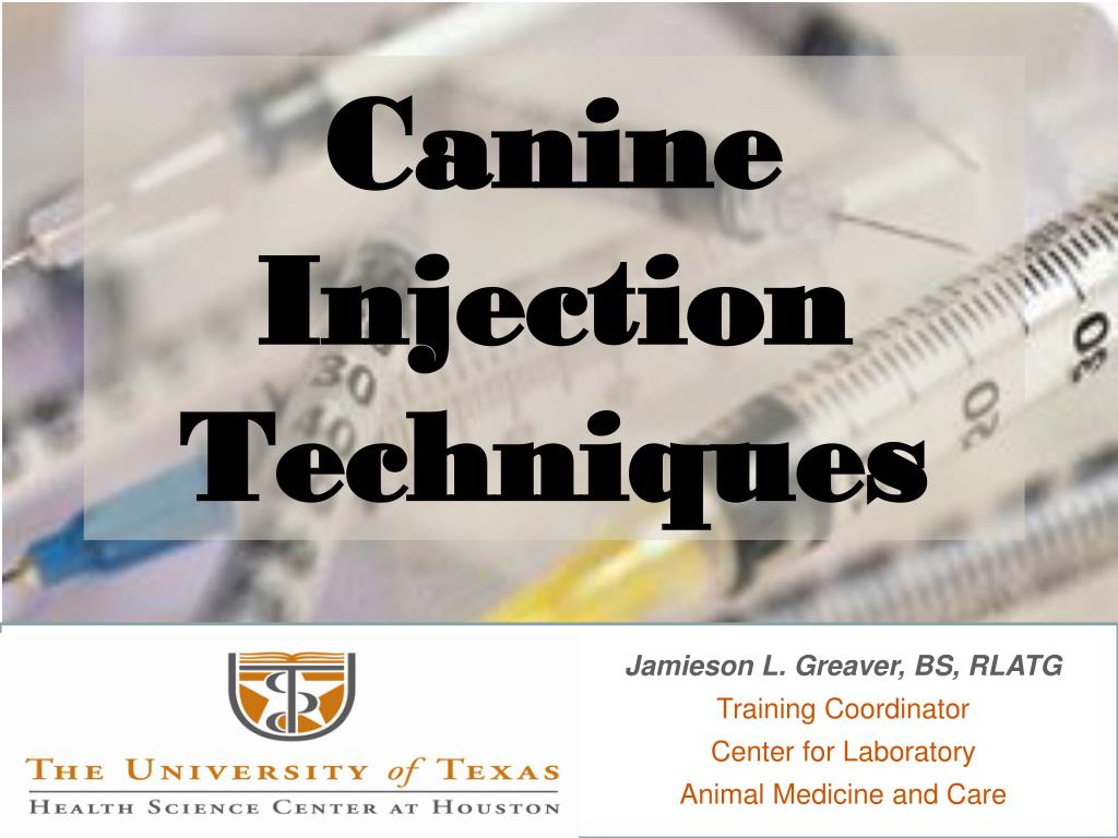 PPT - Canine Injection Techniques PowerPoint Presentation, free download -  ID:4711740