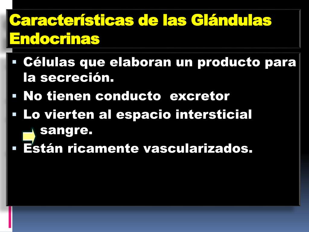 PPT - Sistema Endocrino Tiroides PowerPoint Presentation, free download -  ID:4711851