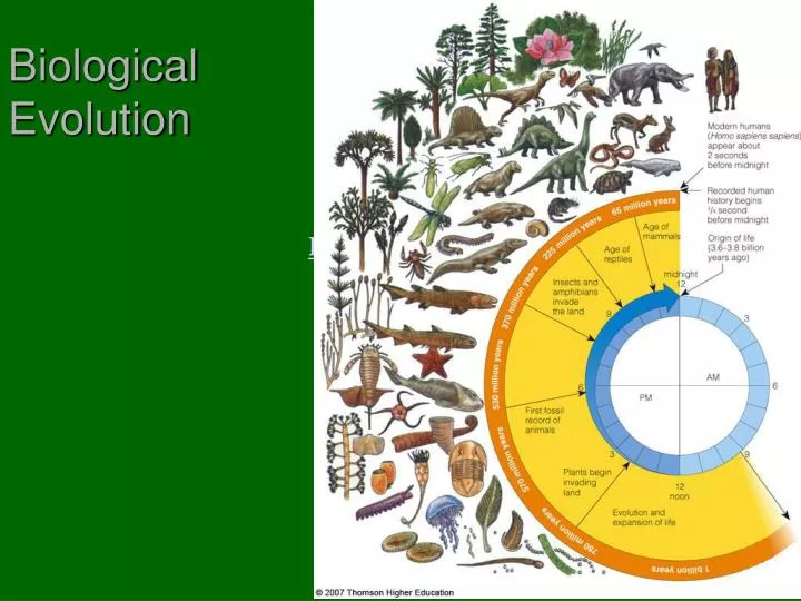 Ppt Biological Evolution Powerpoint Presentation Free Download Id