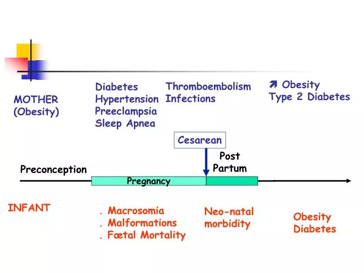 about type 2 diabetes essay about type 2 diabetes essay