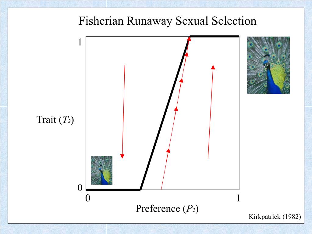 PPT Gene Culture Co Evolution Kevin N Laland PowerPoint Presentation 