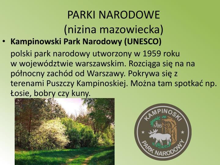 Jaki Krajobraz Dominuje Na Nizinach Mazowieckich PPT - Niziny w Polsce PowerPoint Presentation - ID:4719913