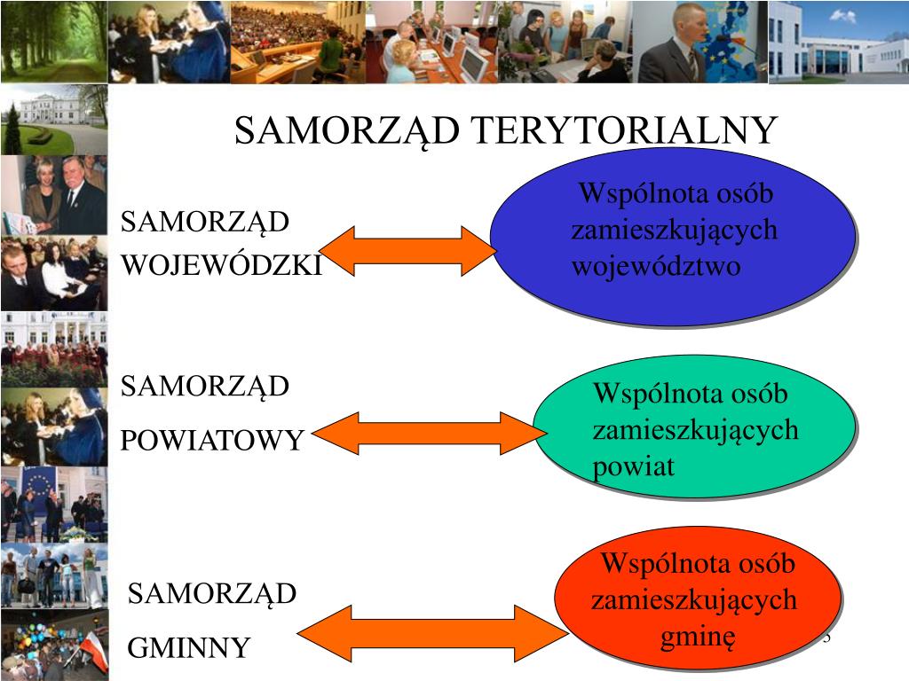 PPT - TERENOWE ORGANY ADMINISTRACJI PUBLICZNEJ PowerPoint Presentation
