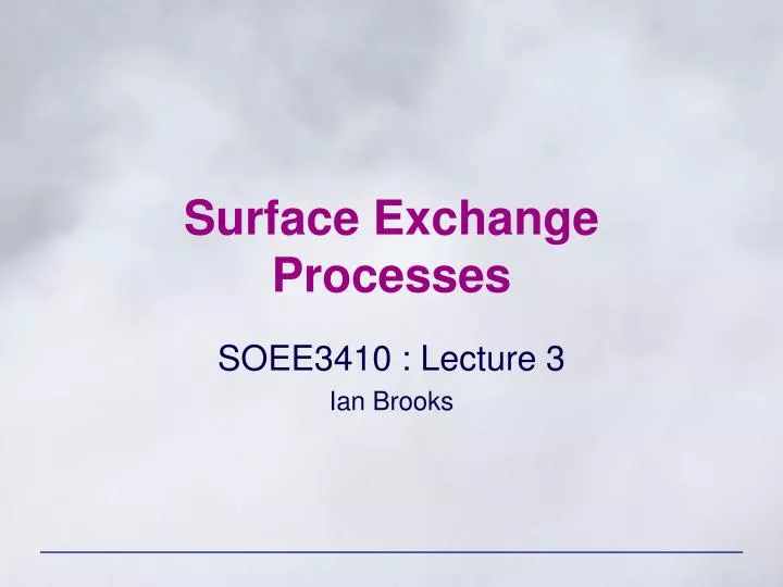 surface exchange processes n.
