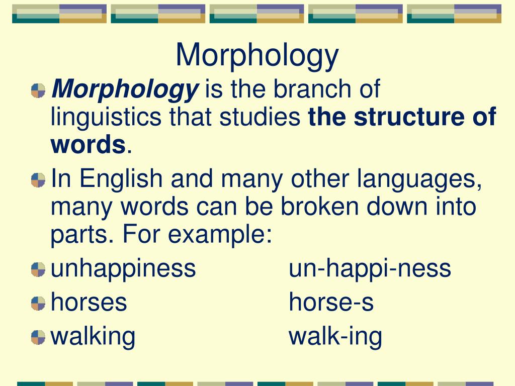 morphology ppt presentation download