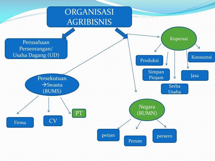 PPT - ORGANISASI BISNIS PowerPoint Presentation - ID:4724731