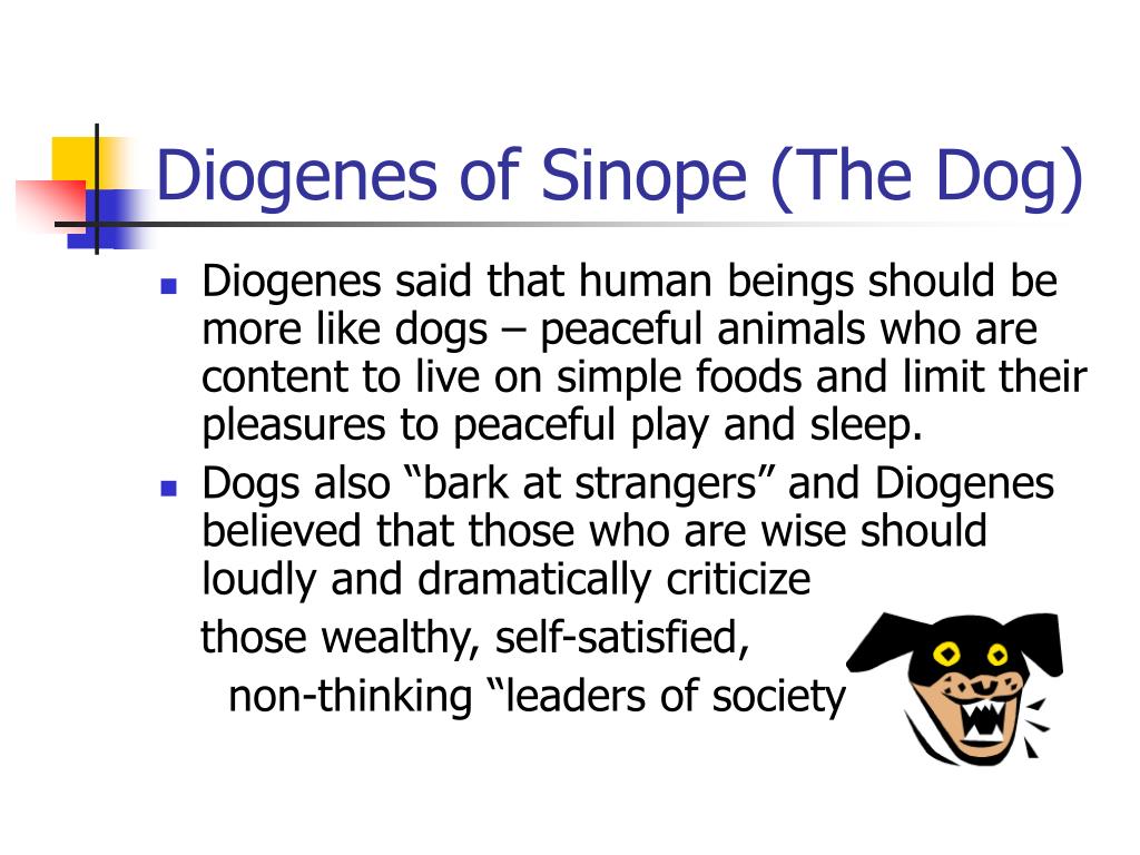 diogenes dog diogenes dog