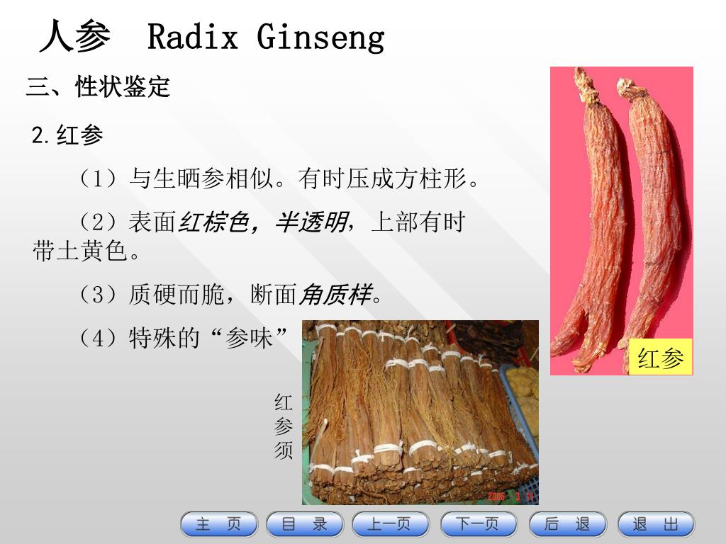 Ppt 人参三七的鉴定powerpoint Presentation Free Download Id
