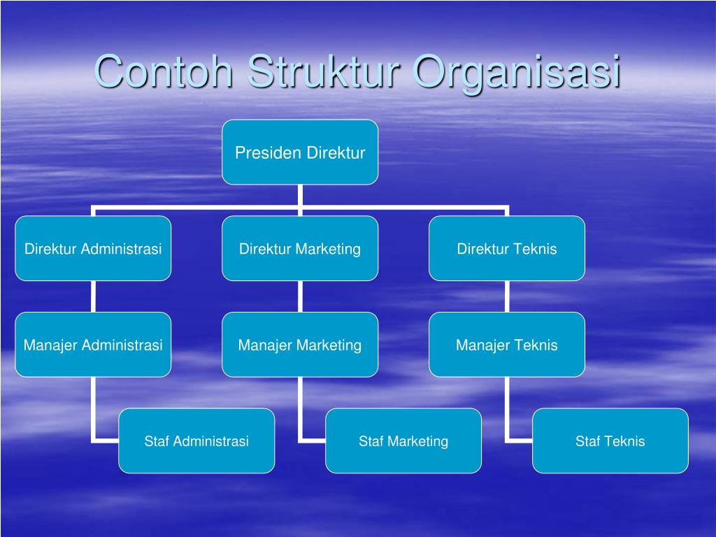 Contoh Struktur Organisasi Company Profile Imagesee