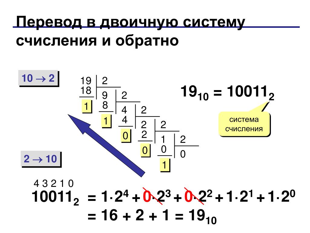 Перевод десятого. Система счисления двоичная система. Перевести в двоичную систему счисления и обратно. Как перевести 10 число в двоичную систему. Как перевести число в двоичную систему счисления.