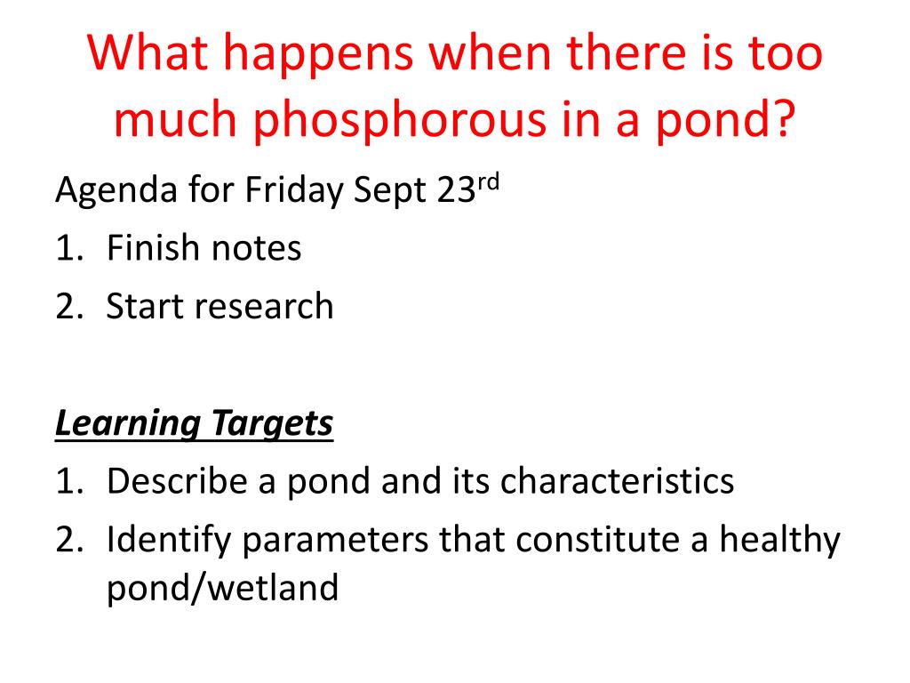 PPT - What is an aquatic ecosystem? PowerPoint Presentation, free