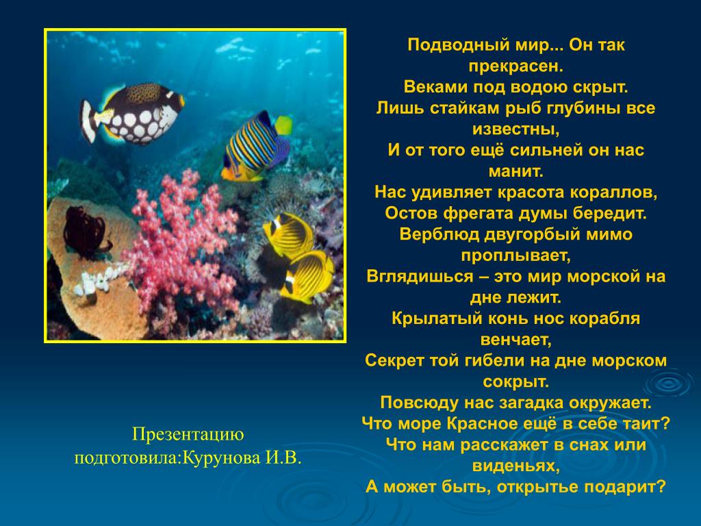 Текст 1 рыбка. Подводный мир презентация. Презентация на тему морские обитатели. Морской мир для дошкольников.