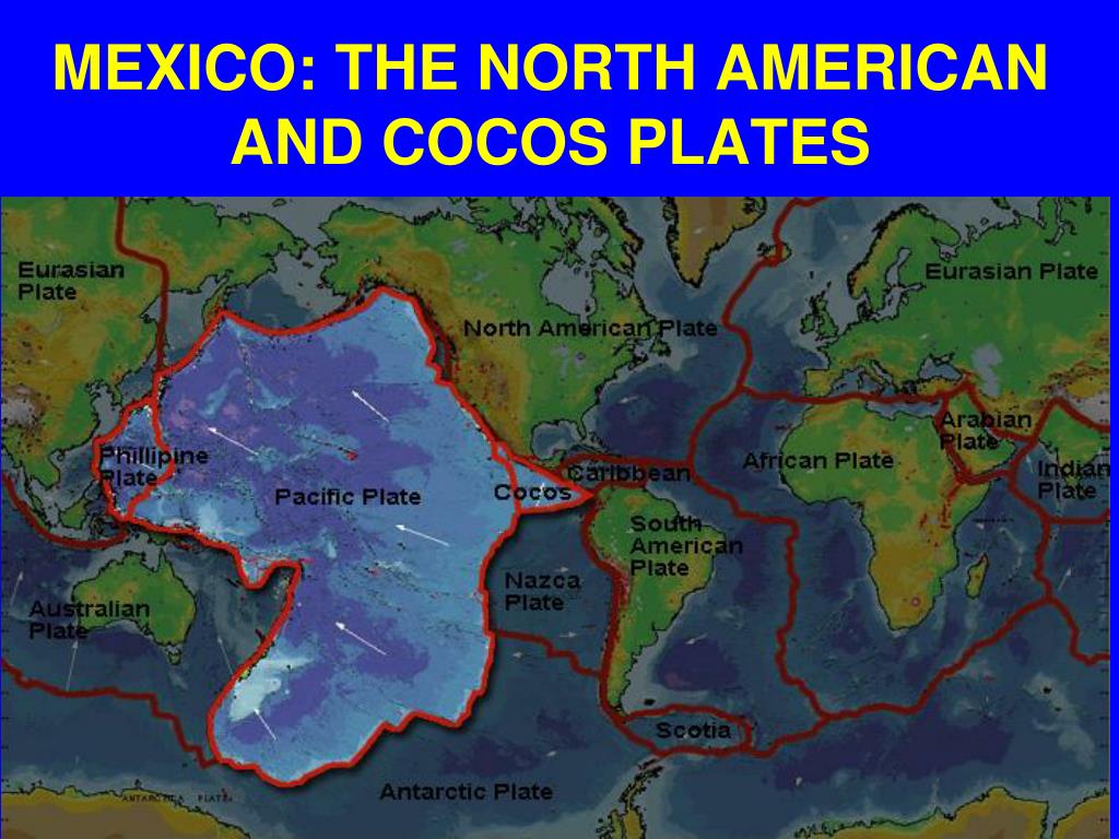 На какой литосферной плите расположена северная америка. Границы литосферных плит Тихого океана. Тихоокеанская плита литосферные плиты. Тихоокеанская литосферная плита на карте. Тектоническая карта Тихоокеанской плиты.