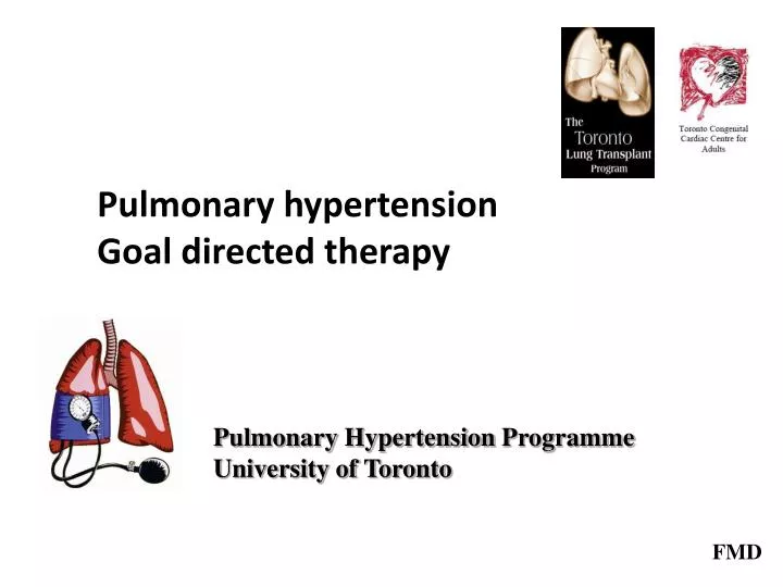 pulmonary hypertension goal directed therapy n.