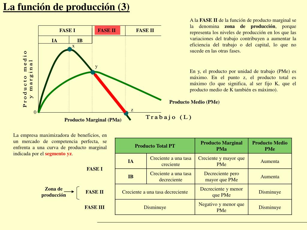 PPT - La Función De Producción PowerPoint Presentation, Free Download ...