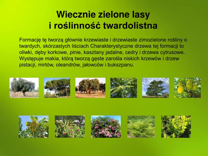 PPT Biomy Kuli Ziemskiej PowerPoint Presentation ID 4732206
