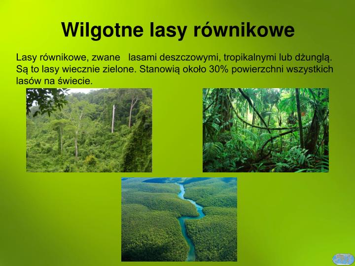 Wiecznie Zielone Lasy Równikowe PPT - Biomy kuli ziemskiej PowerPoint Presentation - ID:4732206