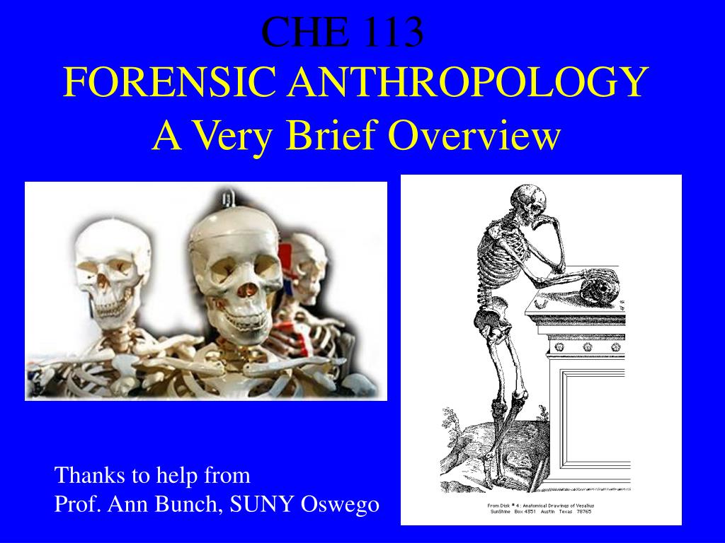Ppt Forensic Anthropology A Very Brief Overview