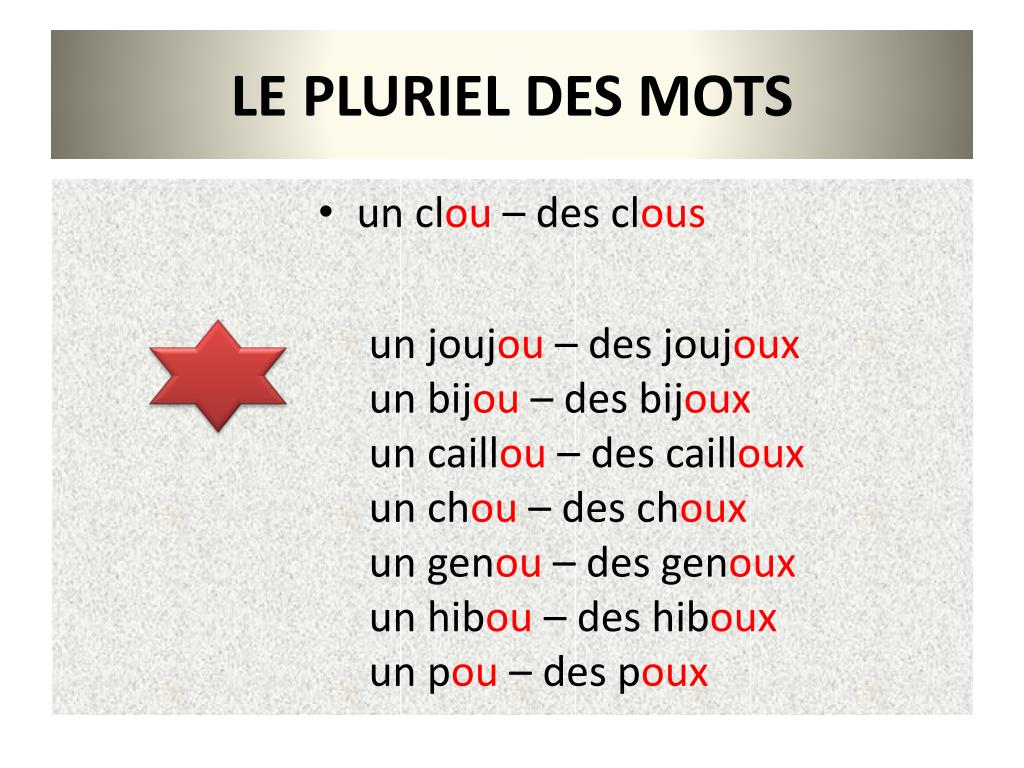 PPT - Le pluriel des mots PowerPoint Presentation, free download -  ID:4732429